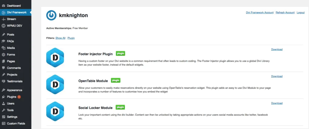 Divi Framework Plugin (Old)