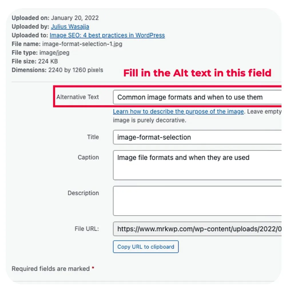 Alt text input field