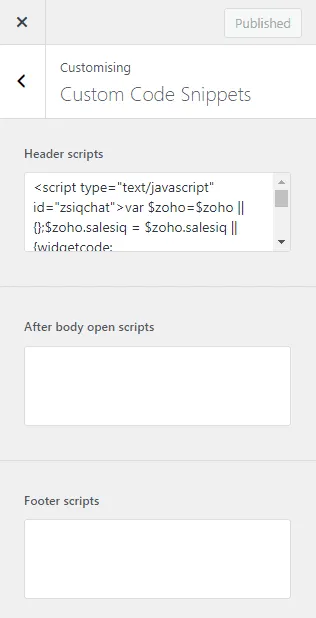 Custom code/script placements in theme customiser