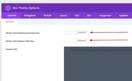 Turn off these two settings in Divi Theme Options for best results with WP Rocket