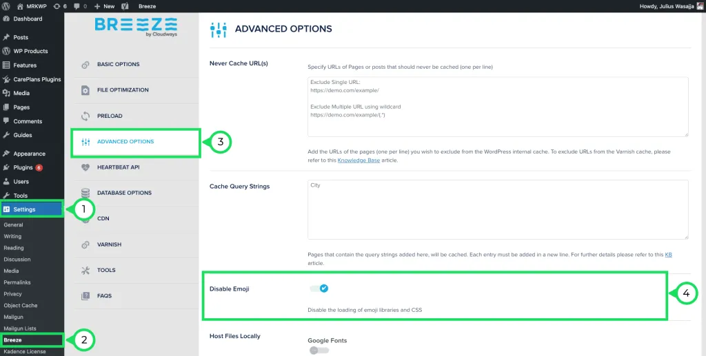 How to disable Emoji Script inside Breeze Cloudways