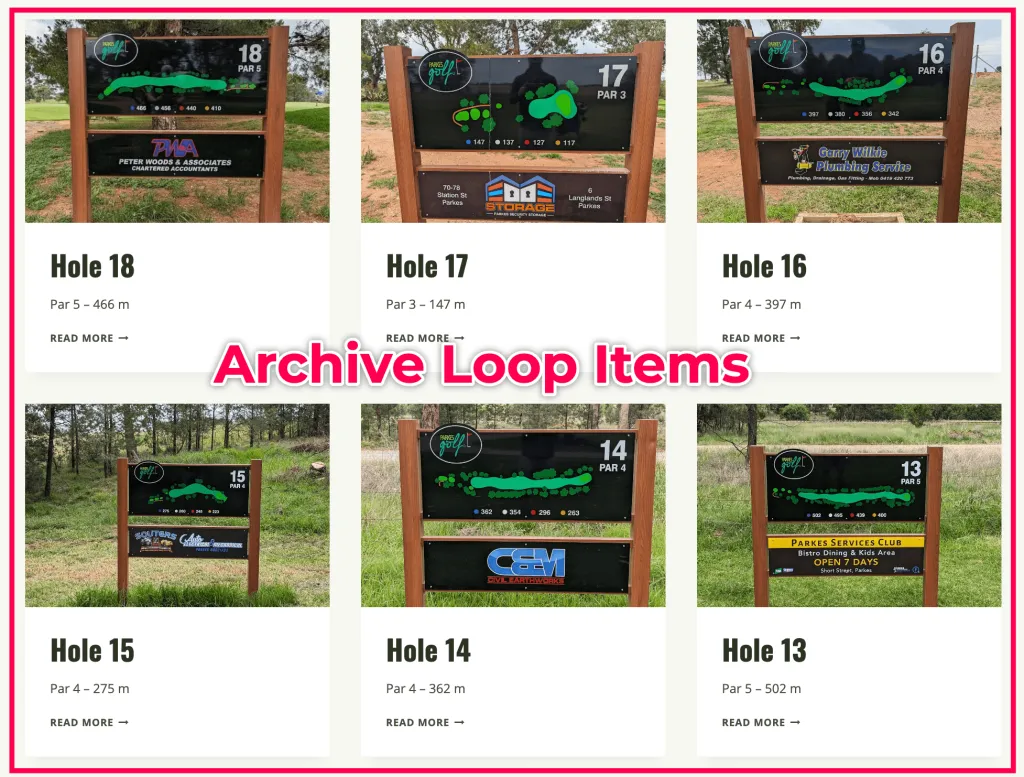 Posts loop on the post type archive page