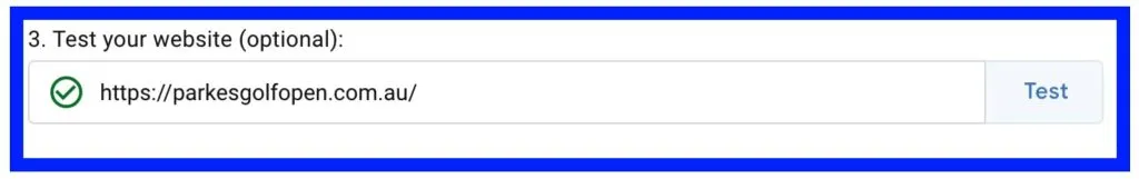 Test for GTM Scripts on your website.