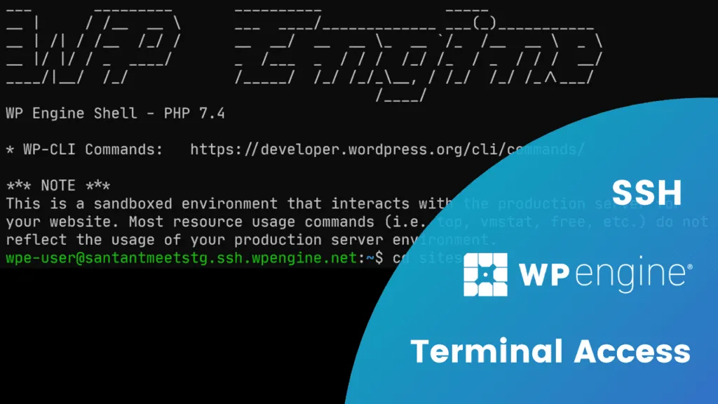 WP Engine provides and SSH login with WP CLI.