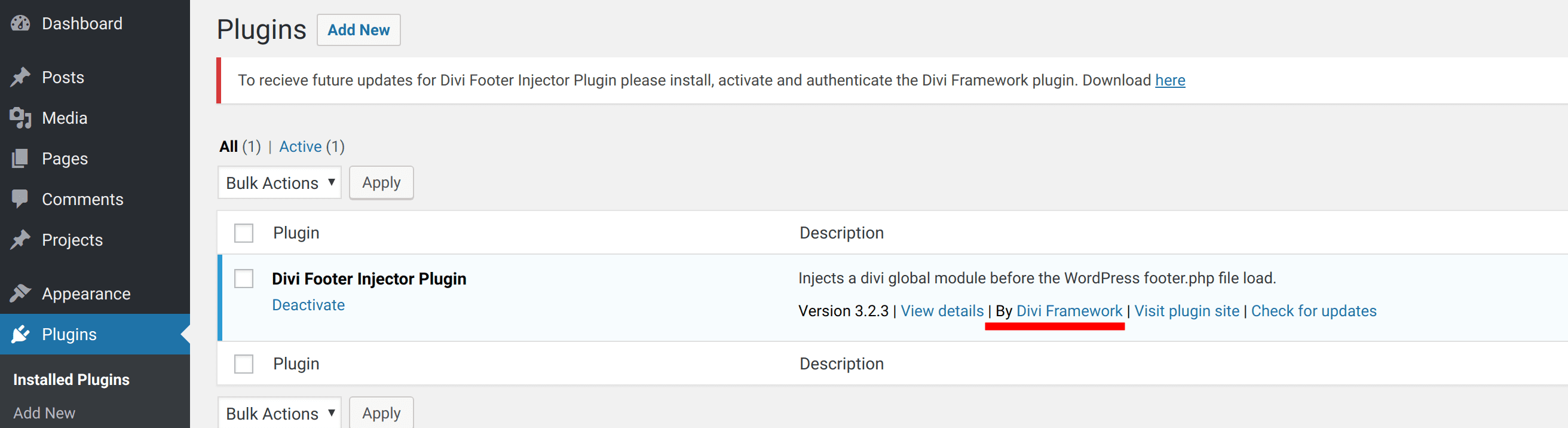 diviframework installed footer plugin