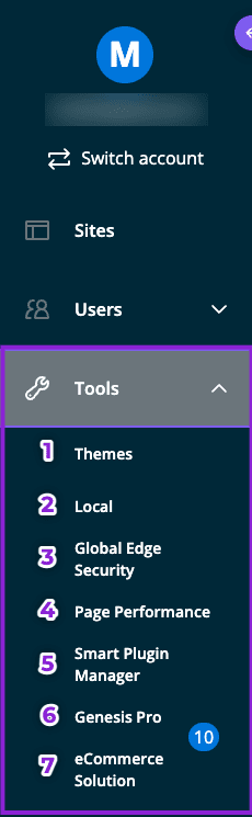 Tools menu item WP Engine