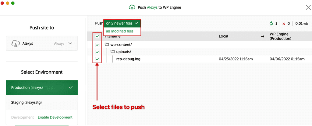 Select files to push to WP Engine