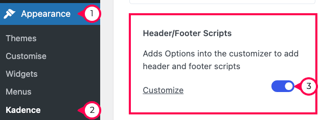 Enable the header and footer scripts Kadence Pro addon