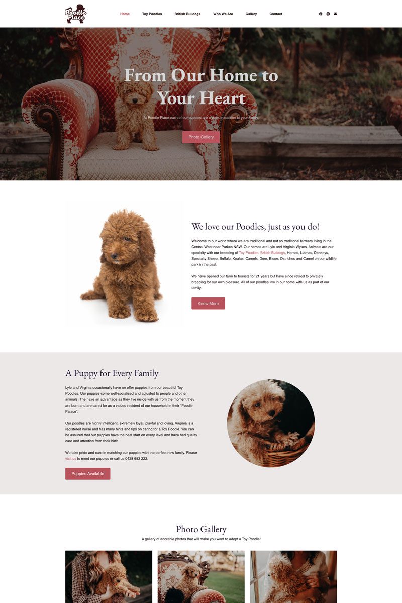 Poodle Place